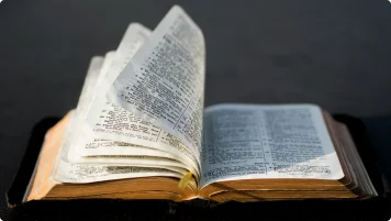 One-Year Bible
